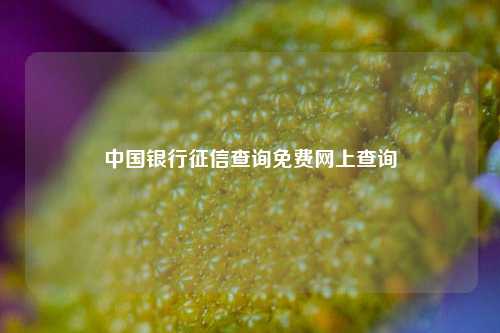 中国银行征信查询免费网上查询